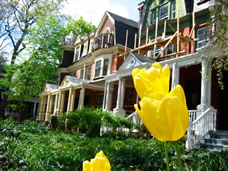 Publications - Spruce Hill